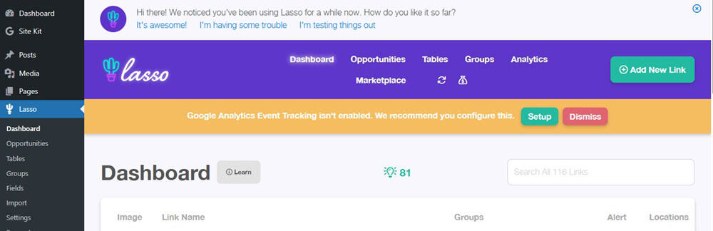 My GetLasso Dashboard